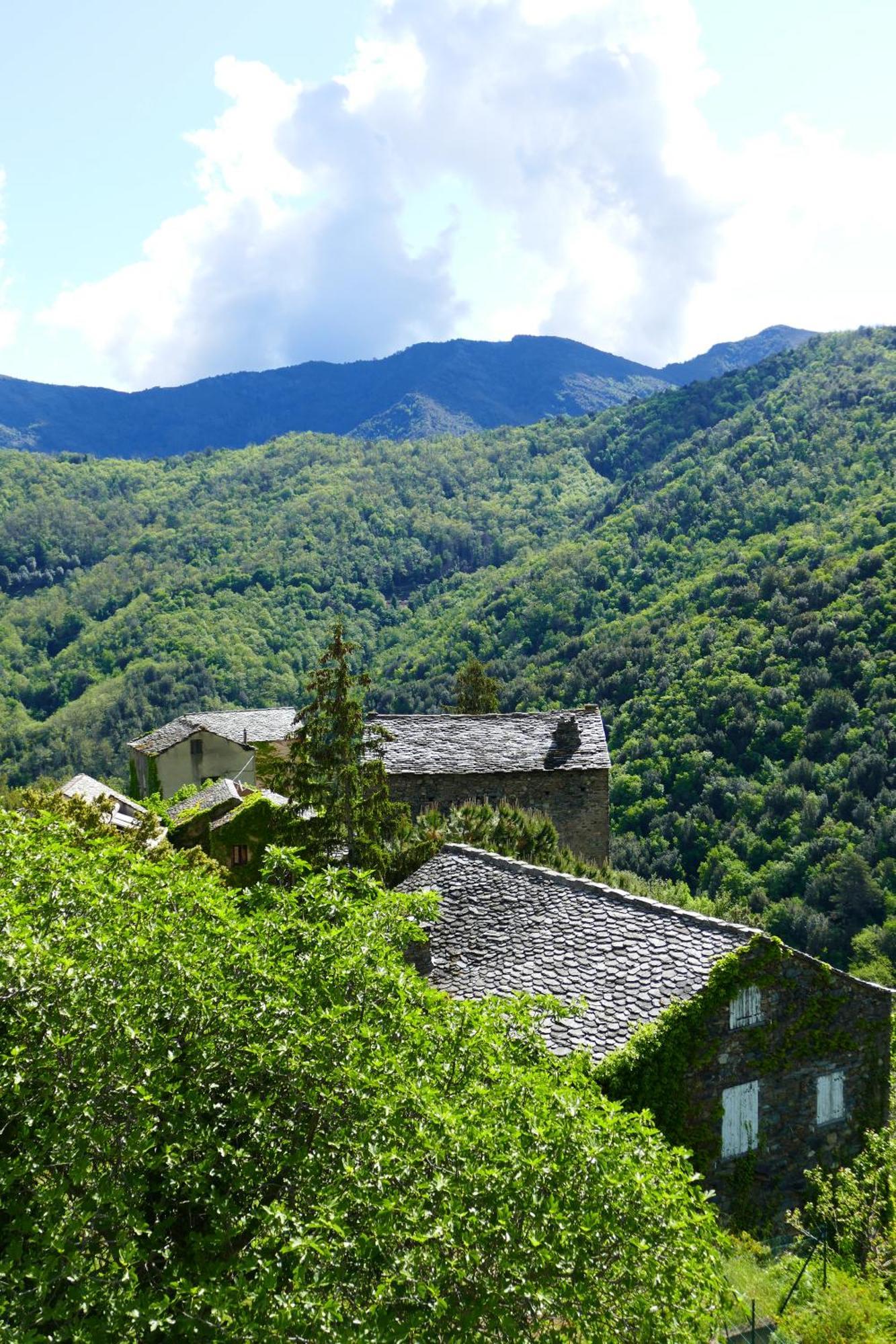 CarchetoCasa Surgente住宿加早餐旅馆 外观 照片